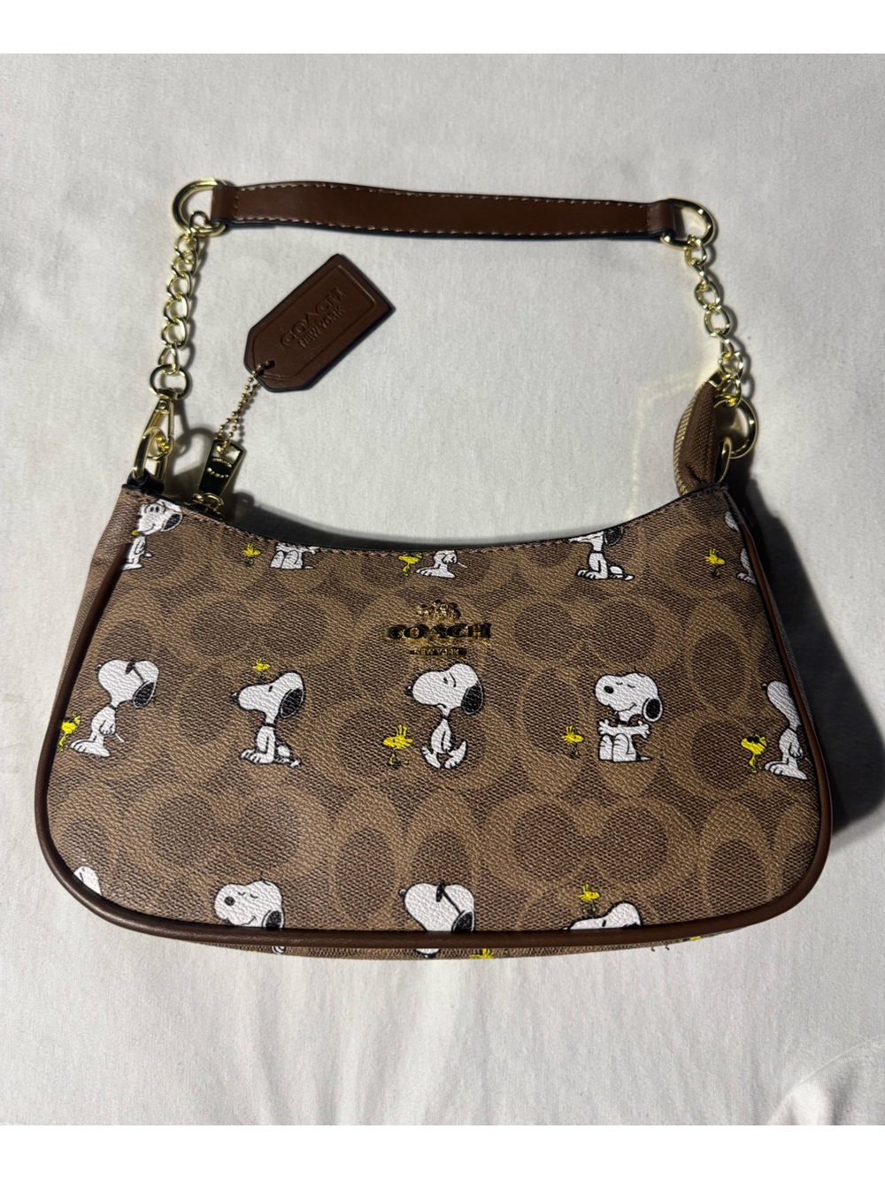 Women’s Coach x Peanuts Snoopy/ Charlie Brown purse ੯‧̀͡⬮ 🐤